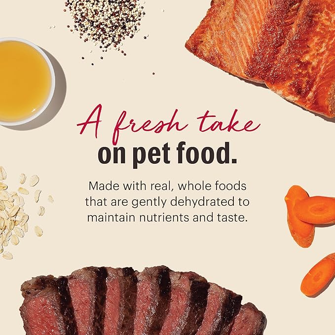 The Honest Kitchen Human Grade Wholemade™ Dehydrated Dog Food, Whole Grain Beef & Salmon, 10 lb (makes 40lbs)