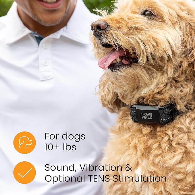 Pro No-Pull Dog Training Collar for Happier Walks, Rechargeable and Waterproof, Hands Free Device with No Remote Needed, Anti-Slip, and Safe-to-use for Medium and Large Breed Dogs (Large)