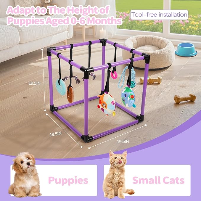 Liitrton Puppy Play Gym - Small Dogs Play Gym with 8 Hanging Toys, Indoor Puppy Jungle Gym with Interactive Dog Enrichment Toys, 19.5"x19.5"x19.5" PVC Frame (Purple)