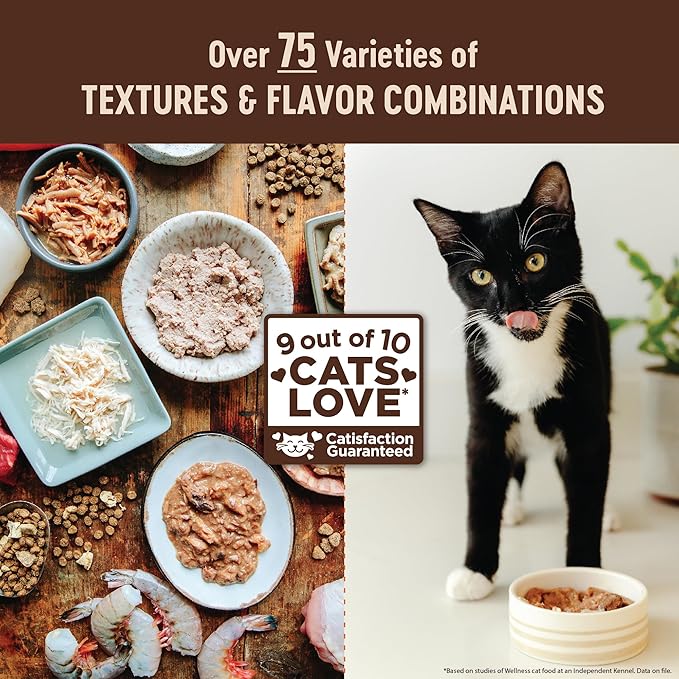 Wellness CORE Pate Kitten Wet Cat Food, Natural, Protein-Rich, Grain Free, 5.5 Ounce, 12 Pack (Turkey & Chicken Liver)
