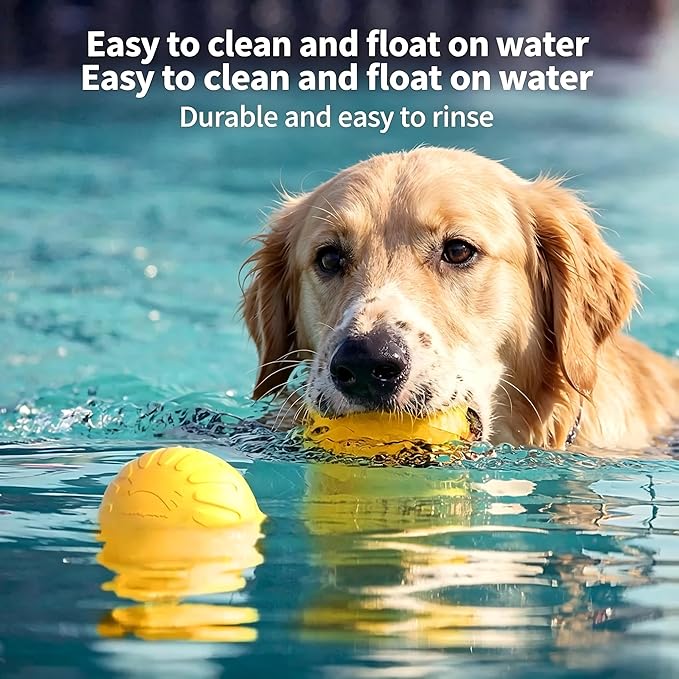 Durable EVA Dog Chew Toy Set, Indestructible Dog Frisbee, Interactive Pet Ball, Dog Pull Ring, Non-Toxic Lightweight Puppy Outdoor Training Playing Supplies for Small Medium Dogs