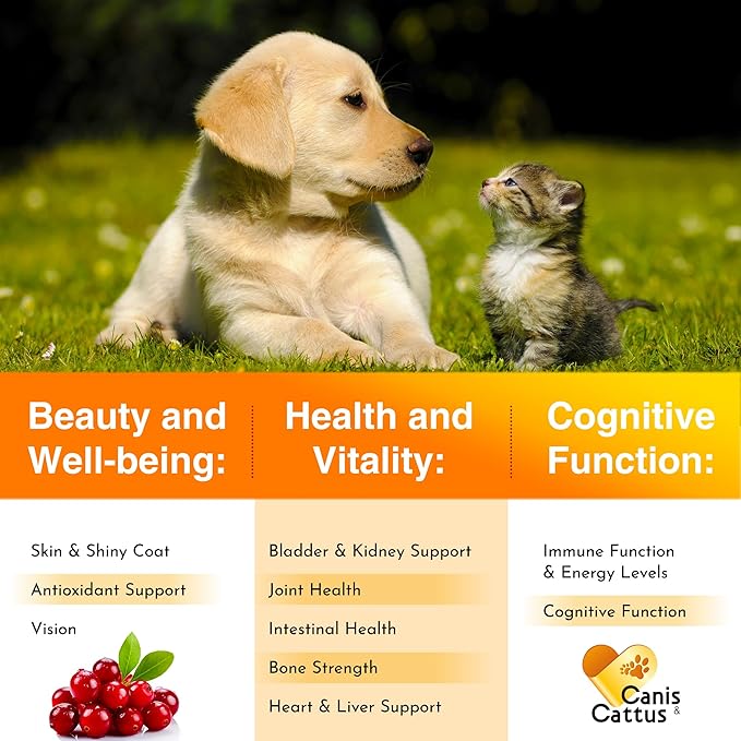 Cat Vitamins for Indoor Cats for Breathing & Digestion | Liquid Multivitamin for Dogs as Bladder Control Supplements | Dog Vitamins to Support Joints, Eyes, Skin & Coat | 2 Oz