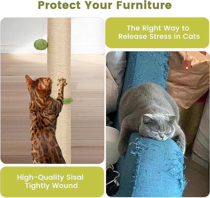 22" Small Cat Scratching Post, 3-in-1 Durable Sisal Vertical Cat Scratcher Post with Hanging Ball, Soft Fabric Stable Base Cat Scratch Pole for Kittens or Smaller Cats, Green