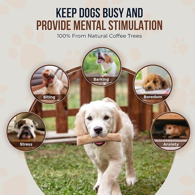Coffee Wood Dog Chews 7.5" & Dog Rope Toys 100% Natural for Teething, Stress Relief, Dental Health, Organic Toys - Size S