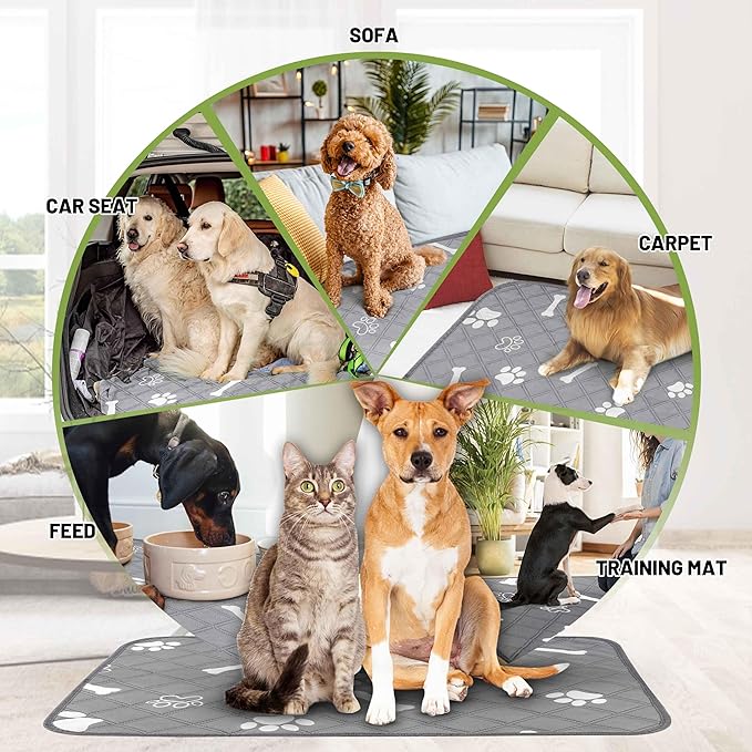 PatiencET Washable Dog Pee Pad, 48" x 65" Extra Large, Super Absorbent Reusable Waterproof Floor & Sofa Protector for Large Dogs, Whelping & Incontinence