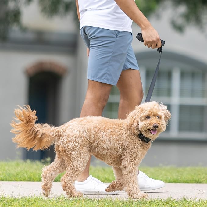 Pro No-Pull Dog Training Collar for Happier Walks, Rechargeable and Waterproof, Hands Free Device with No Remote Needed, Anti-Slip, and Safe-to-use for Medium and Large Breed Dogs (Medium)
