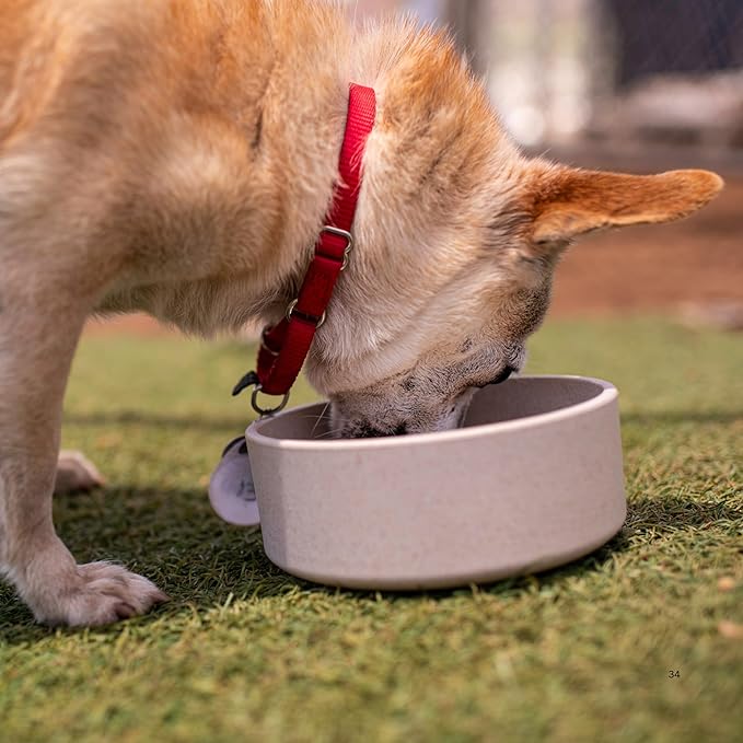 Loving Pets - Dolce Bamboo - Eco-Friendly Pet Bowls & Dishes for Dog, Cats, Puppy Food and Water Dish -Sustainable and Dishwasher Safe, Made with Real Bamboo (Medium, Oat-Beige)