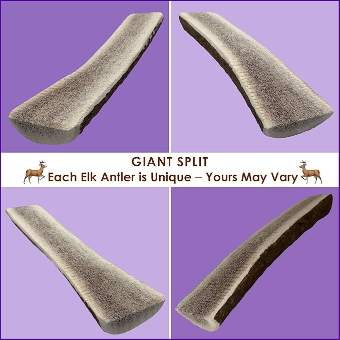 1-Pack Giant Split Elk Antler Dog Chews – Center‑Cut, 7.5‑10 inch Long, USA‑Sourced Natural Dental Treats for Medium & Large Dogs up to 60 lb, Long‑Lasting Odor‑Free Chew