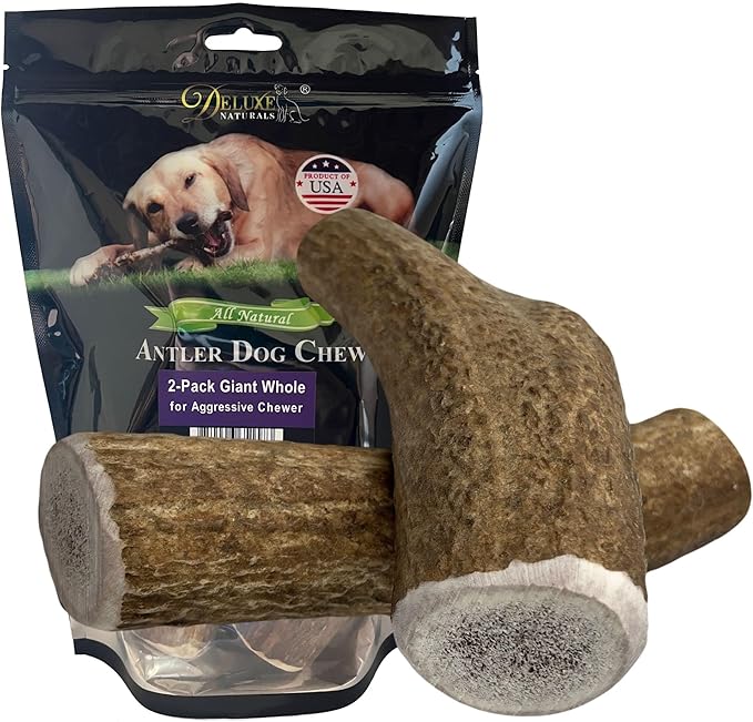 2-Pack Giant Whole Elk Antler Dog Chews for Large to Giant Dogs Over 60 lbs (6-10 Inch) | Heavy Chewer Dog Toys | Long Lasting Natural Bones for Aggressive Chewers
