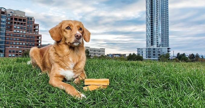 peaksNpaws Himalayan Yak Chews, High Protein Dog Treat for Aggressive Chewers, Natural, Long Lasting, Lactose Free Chew Stick for Pet Under 35 lbs, 3 Medium Treats, 100% Eco-Friendly Packaging
