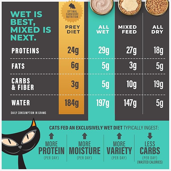 Tiki Cat Solutions Mousse Skin & Coat Mousse, Salmon Recipe, Specially Formulated with Omega Fatty Acids, Functional Wet Cat Food for Adult Cats, 2.4 oz. Pouch (12 Pack)