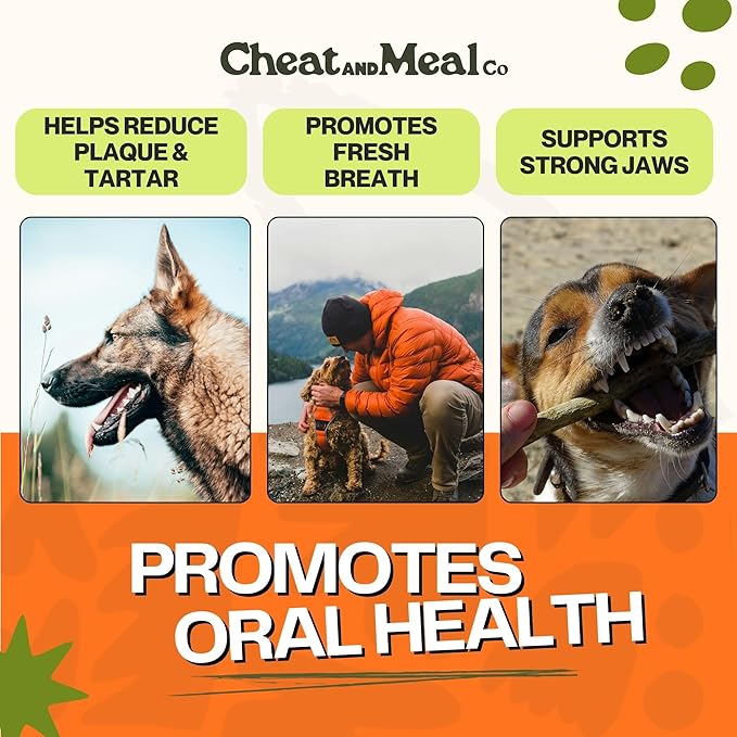 Bully Sticks for Dogs, (6 Inch, 10 Count), Dog Chew Toy for Aggresive Chewer, Long-Lasting, 100% Grass-Fed Beef Pizzle - Ideal for Medium and Large Dogs - Rawhide-Free