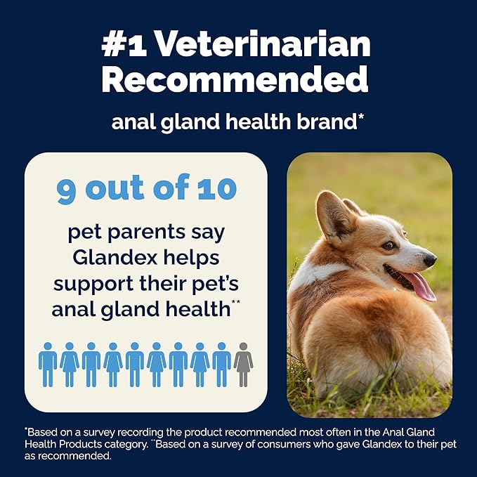 Glandex Dog Fiber Supplement Powder for Anal Glands with Pumpkin, Digestive Enzymes & Probiotics - Vet Recommended (Regular or Advanced Strength) - Boot The Scoot (2.5 oz, Pork Liver)