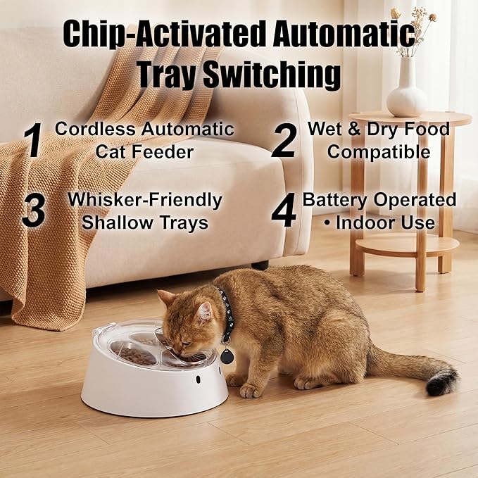 Anifam Microchip RFID Cat Feeder, Automatic Pet Feeder for Multi-Pet Homes, Dog Proof Cat Feeding Station with Stainless Steel Bowls for Small Dogs, Stops Food Stealing & Special Diets