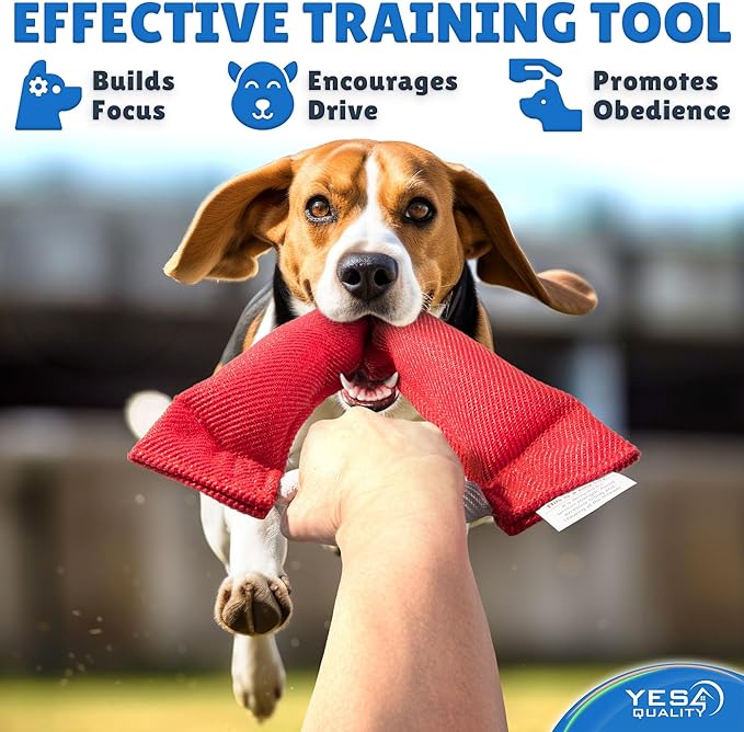 YES4QUALITY Dog Toy - Tug of War for Dogs - Horseshoe Shape Pull and Play Toy for 2 Dogs - 10x11 Inch, Fun Fuchsia - Durable Training and Exercise Equipment for Medium to Large Breeds