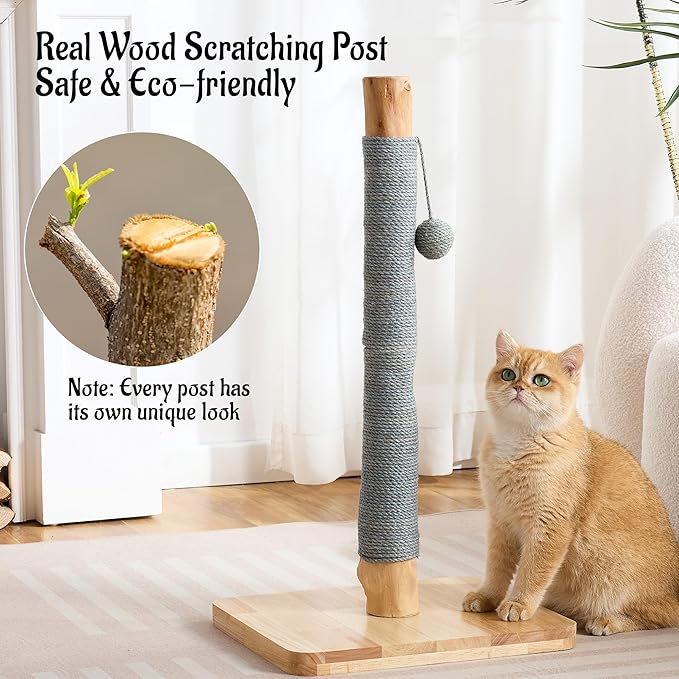 29" Tall Cat Scratching Post for Indoor Cats Adults, Extra-Stable & Natural Solid Wood Scratching Post Sisal Scratcher with Hanging Funny Ball, Gray