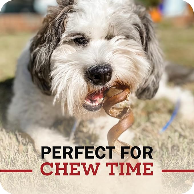 Redbarn Pet Products All-Natural Bully Stick Rings for Dogs - Long Lasting Rawhide Chew Treat - Case of 35
