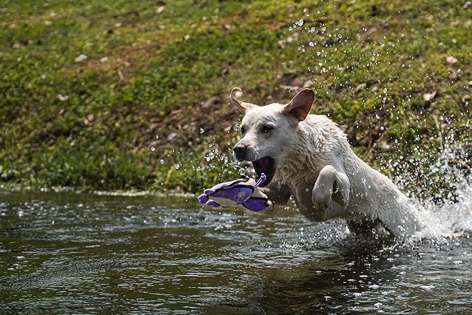 Dog Toy, Squeaky Plush Dog Toy, Rough & Tough Interactive Pet Toy, Recycled Fabric and Double Stitched (Crab)