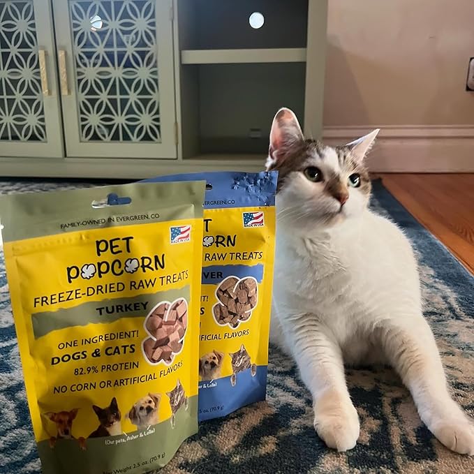 Freeze-Dried Raw Treats - Turkey Breast - 2.5oz Bag, Dog & Cat Snacks, Single Ingredient, Natural, Pet Food Topper, Protein‑Packed Meat (Pack of 2)