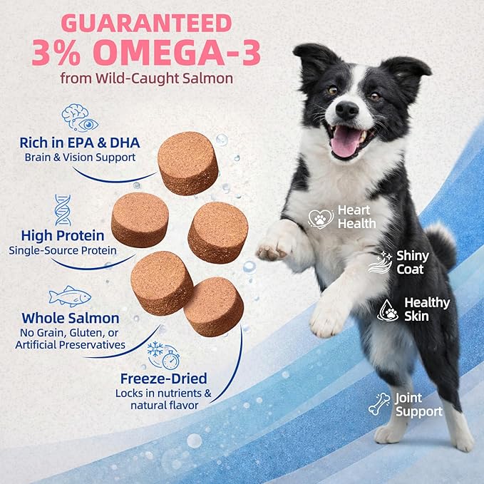 MAJOR PETS Freeze Dried Salmon Dog & Cat Treats - Wild Caught Alaskan Salmon -Single Protein - Grain Free & Gluten Free - Dog Food Toppers & Training Treats - Made and Sourced in The USA - 10 oz