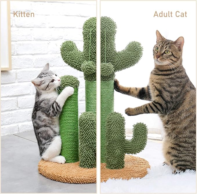 Cat Scratching Post Cactus Cat Scratching Board with 3 Scratching Poles and Interactive Hanging Ball for Small Cats
