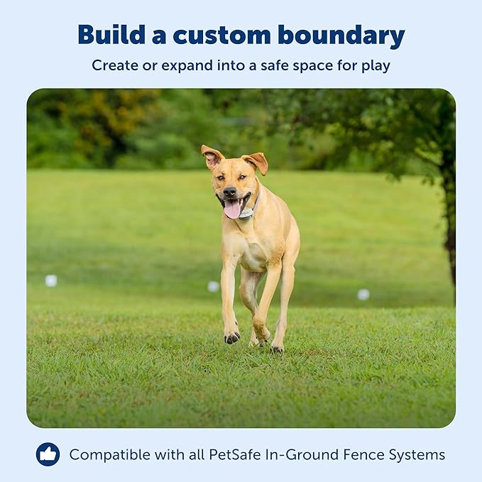 PetSafe Boundary Wire, 500 Foot Spool of Solid Core 16-Gauge Copper Wire, In-Ground Pet Fence Wire, Colors May Vary