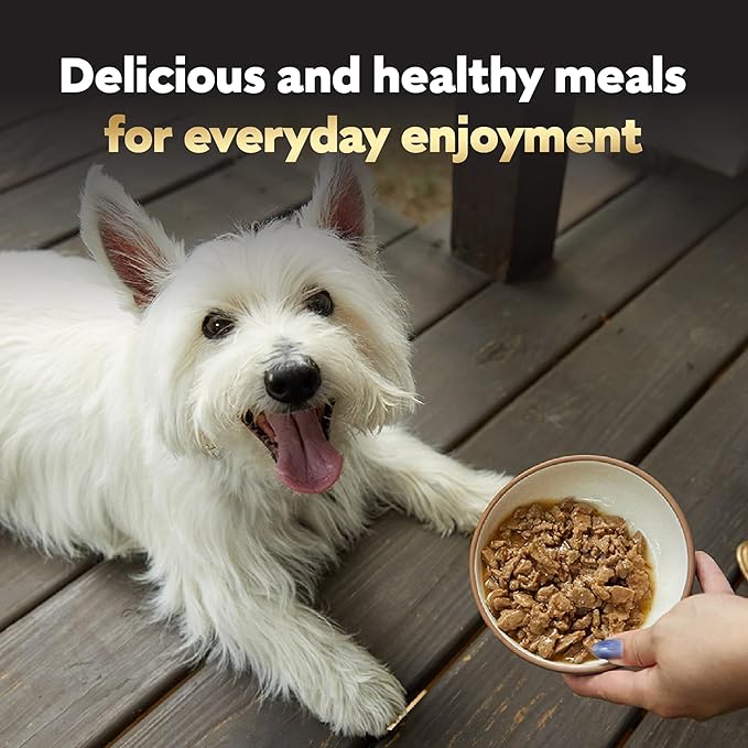 Cesar Filets in Gravy, Adult Wet Dog Food, New York Strip Flavor, Wet Food for Dogs, 3.5 oz Trays, 24 Count