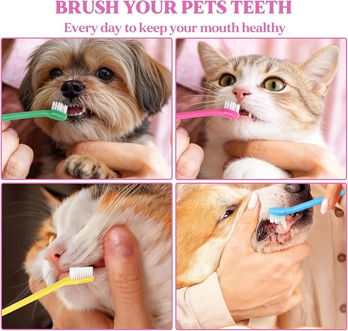 200Pcs Dog Toothbrushes, Dual Headed Dog Tooth Brush Bulk, Long Handle Plastic Pet Toothbrush for Large Small Dogs Cats Puppy Teeth Cleaning Dental Care Supplies 8 Colors