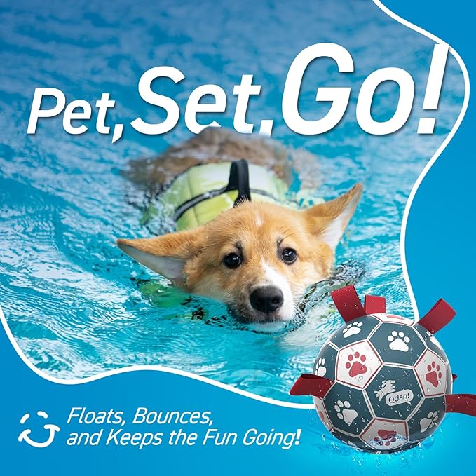 QDAN Dog Balls, World Cup Soccer Ball with Straps, Durable Herding Balls for Small Medium Pet, Puppy Birthday Gifts, Dog Water Toy, Pet Toys Puppy Ball (6 Inch) (Pack of 2)