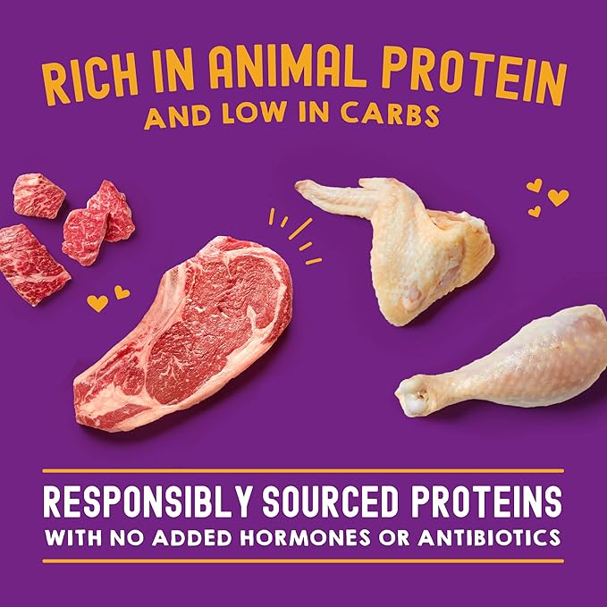 Stella & Chewy's Carnivore Cravings Wet Cat Food Pouches - Premium Chicken & Beef Recipe - Grain-Free Morsels & Gravy - Perfect for Picky Eaters - Complete Meal or Topper - 2.8oz, 24-Pack