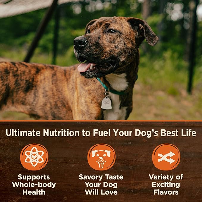 Wellness CORE Grain Free Dry Dog Food, Whitefish, Herring Meal & Salmon Meal, 4 Pound Bag CORE Wet Dog Food Pate, Whitefish, 12 Cans, 12.5 Ounce Can