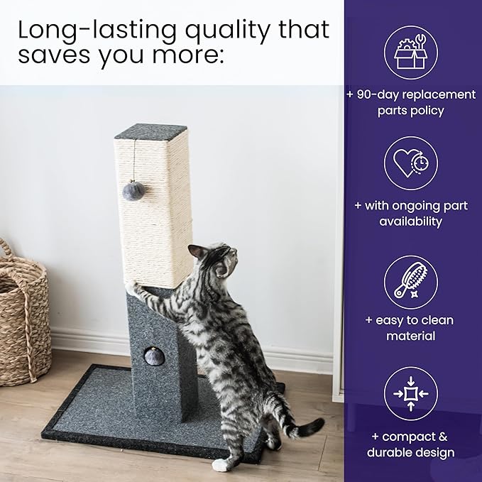 Catry Cat Scratching Post - Minimalist Style Design of Cat Tree Scratch Post with Kitten Playful Toy Allure, Good for Pets to Practice Their Claws, Multiple Size Choices