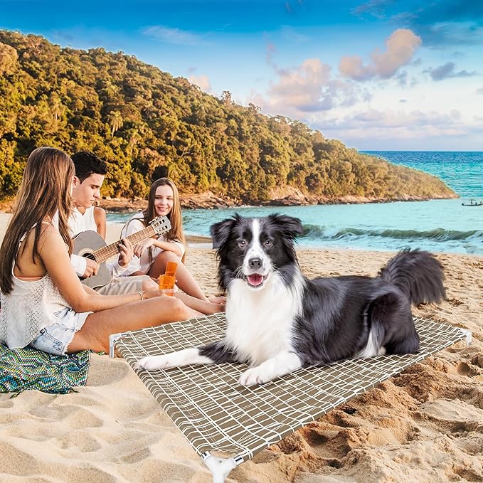 Elevated Dog Bed - Raised Pet Cot for Large Dogs, Portable Indoor & Outdoor Dog cot Bed, Soft and Comfortable, Pet Bed for Camping or Beach, XL