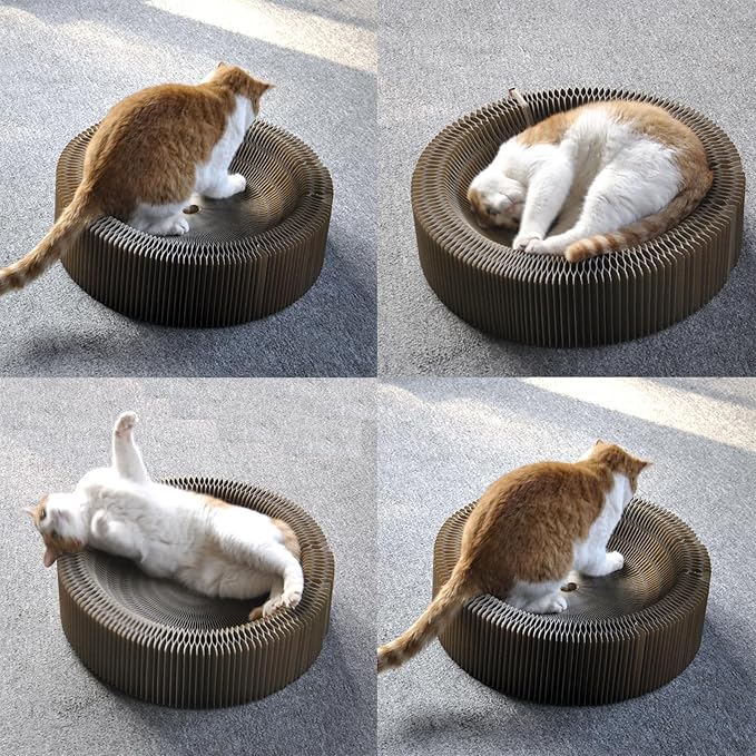 Cat Scratcher Lounge Bed - Collapsible Magic Organ Round Shape Cat Bed 20.5 inches, Scratching Pet Bed Hold Weight up to 25lb for Indoor Small Big Cats