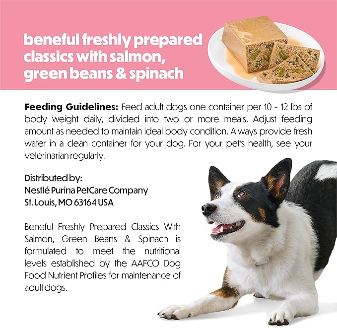 Purina Beneful Freshly Prepared Classics with Salmon, Green Beans and Spinach Pate Dog Food - 9.5 oz Carton (Pack of 6)