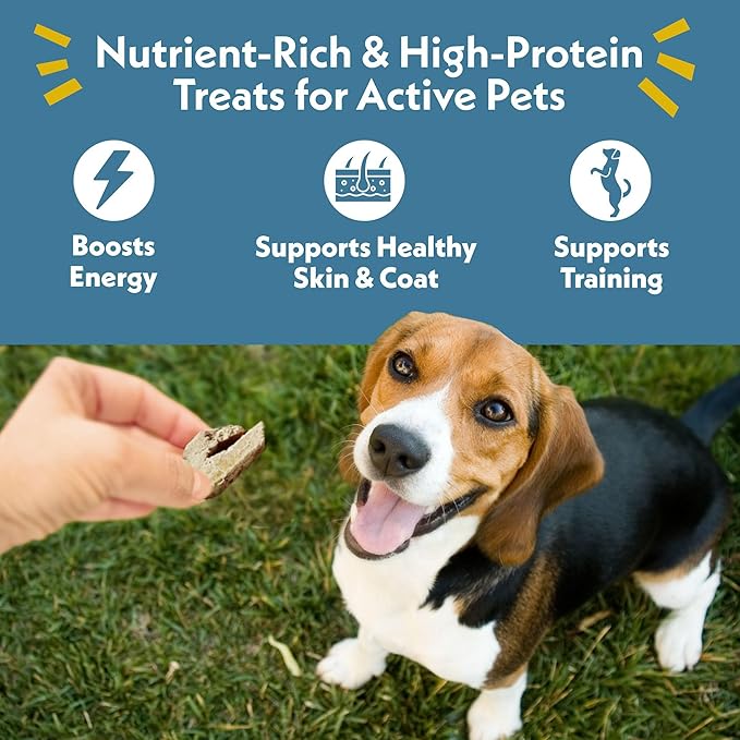 Fresh Is Best Freeze Dried Dog Treats – Raw Freeze Dried Dog Food for Cats & Canines – Training Treat in Resealable Zipper Bag – High-Protein Beef Liver Fillets – Made in The USA