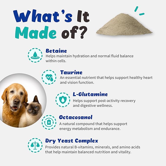 Electrolyte CellVet Hydration & Electrolyte Balance for Senior Cats and Dogs - Octacosanol, Dry Yeast Complex (Amino Acids, B Vtiamins, Minerals) (54g)