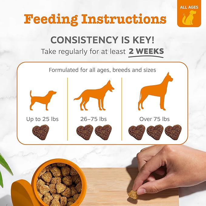 Zesty Paws Probiotics for Dogs - Digestive Enzymes for Gut Flora, Digestive Health, Diarrhea & Bowel Support - Clinically Studied DE111 - Dog Supplement for Pet Immune System – Pumpkin – Pack of 2