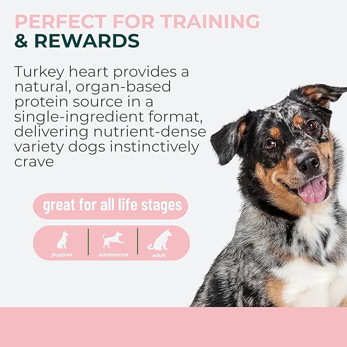Momentum Carnivore Nutrition Freeze-Dried Turkey Heart Dog Treats & Cat Treats – Single-Ingredient, High-Protein, Grain-Free, Lean & Easily Digestible – Made in USA – 3 oz Bag