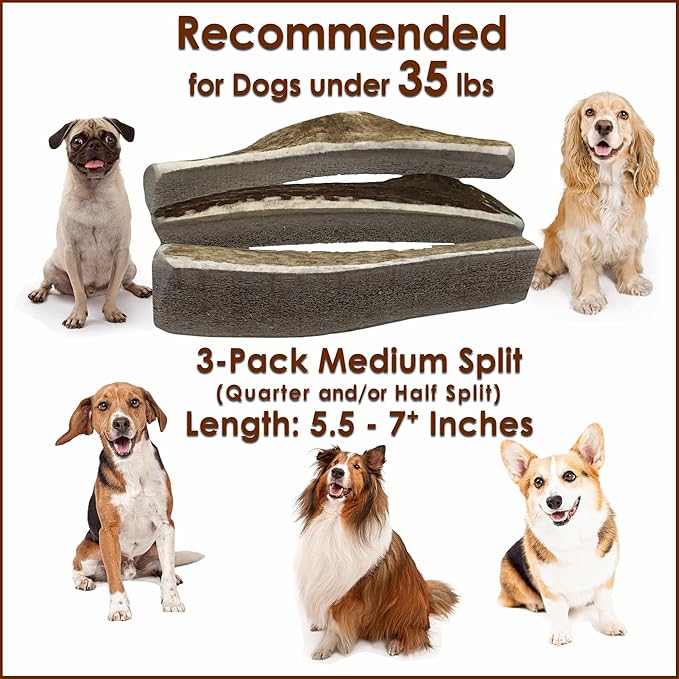 3 Pieces Medium Split Elk Antler Dog Chew (5.5 to 7 inches) – All Natural, Premium Grade A, Odor-Free, USA-Sourced – Long-Lasting Dental Treats for Small Dogs Under 35 lbs