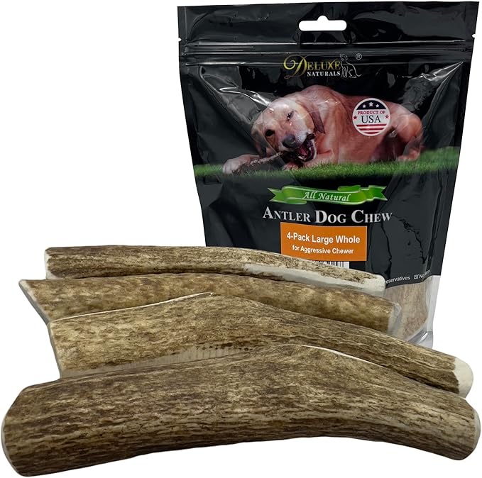 4-Pack Large Whole Elk Antler Dog Chews, 6 to 9+ Inch Natural Long-Lasting Chew Bones for Medium and Large Dogs 30–80 lbs, Aggressive Chewers, Teeth Cleaning