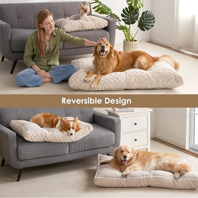 EHEYCIGA Washable Small Dog Bed for Crate 23x18 Inch, Reversible Kennel Pad for Puppy Weight Up to 25 lbs, Plush and Comfy Pet Sleeping Mat, Beige