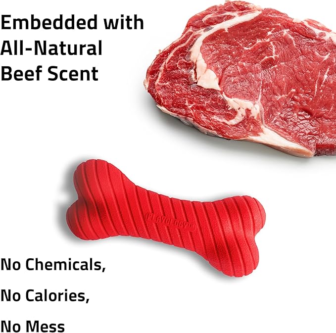 Playology Dog Toys | Dual Layer Bone Chew Toy Bone for Dogs (Value 2-Pack) | Medium Beef Scented Toy - Easy to Clean and Made from Non Toxic Materials
