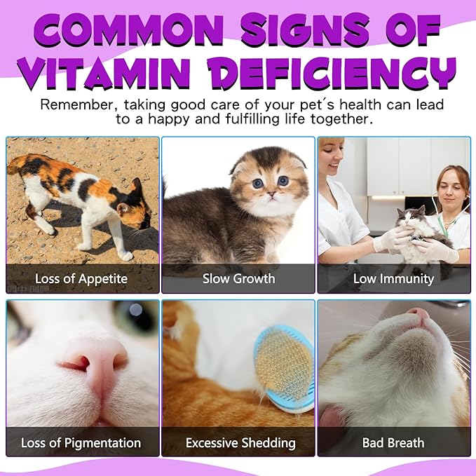 15-in-1 Multivitamin Drops for Cats, Cat Vitamins for Immune System Support, Skin & Coat, Heart Health, Bones, Joint, with Vitamins A, B, C, D, E, Liquid Supplement for All Life Stages