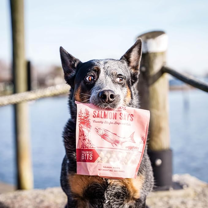 Polkadog Salmon Says Crunchy Training Bits - All Natural, Limited Ingredient, Premium Training Treats for Dogs, Omega-3 Rich. Great for Allergies, Handcrafted in USA - 7oz (1pk)
