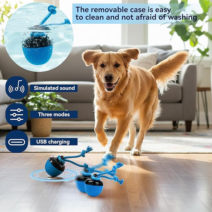 Interactive Dog Toys with Motion Activated, Squeaky Dog Toy Active Rolling Ball for Puppy and Medium Dogs, USB Rechargeable, Wicked Ball