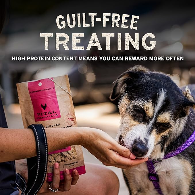 Vital Essentials Freeze Dried Dog Treats | Duck Bites, Single Ingredient | Premium Quality | Grain Free Training Treats for Dogs, 2 oz Bag