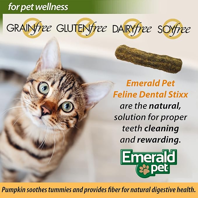 Emerald Pet Feline Dental Stixx — Tasty and Crunchy Cat Sticks with Pumpkin for Digestive Health — Natural Grain Free Treats for Clean Cat Teeth and Fresh Breath — Catnip, 3.6 oz