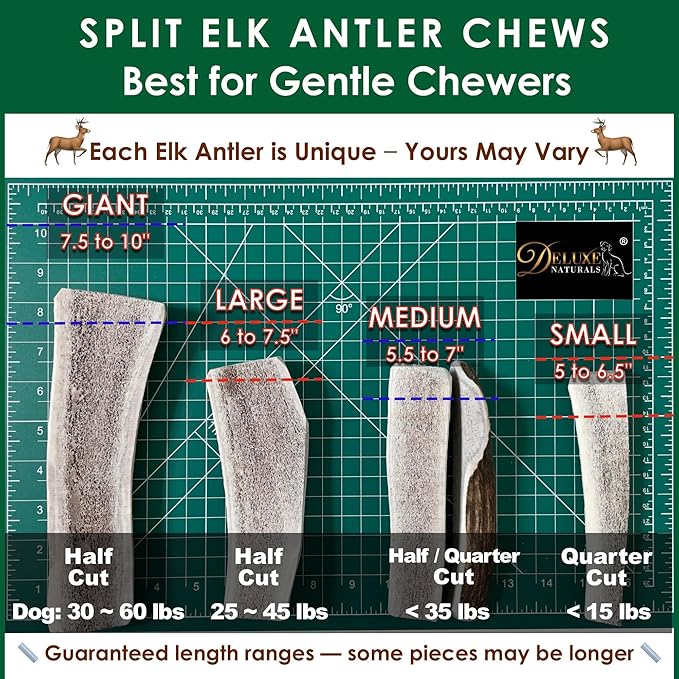 3-Pack Large Split Elk Antler Dog Chews (6 to 7.5+ in) – All-Natural, Long-Lasting Antlers for Small & Medium Dogs Under 45 lbs, Gentle Chewers & Puppies, Dental Health & Odorless