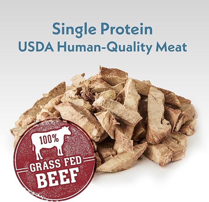 Fresh Is Best Freeze Dried Dog Treats – Raw Freeze Dried Dog Food for Cats & Canines – Training Treat in Resealable Zipper Bag – High-Protein Beef Heart Fillets – Made in The USA